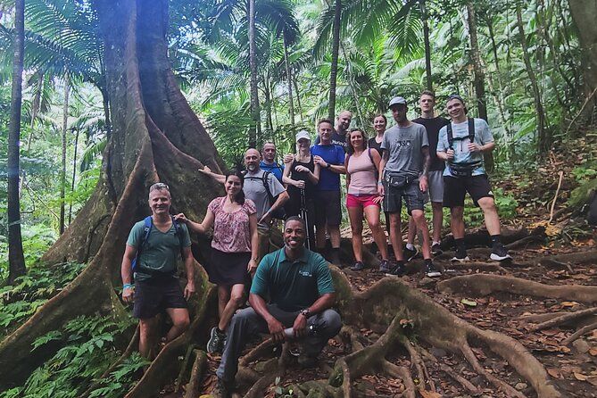 Mount Liamuiga St Kitts Volcano Adventure