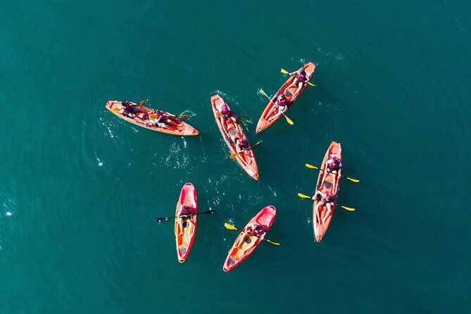 3 Hours Kayaking in Kotor Bay in Montenegro