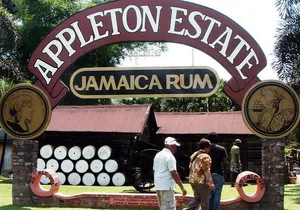 Appleton Rum Tour and Floyd’s Pelican Bar from Montego Bay Hotels and Villas