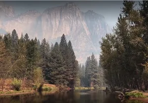 Yosemite, Kings Canyon National Parks 2 Day Tour from SF