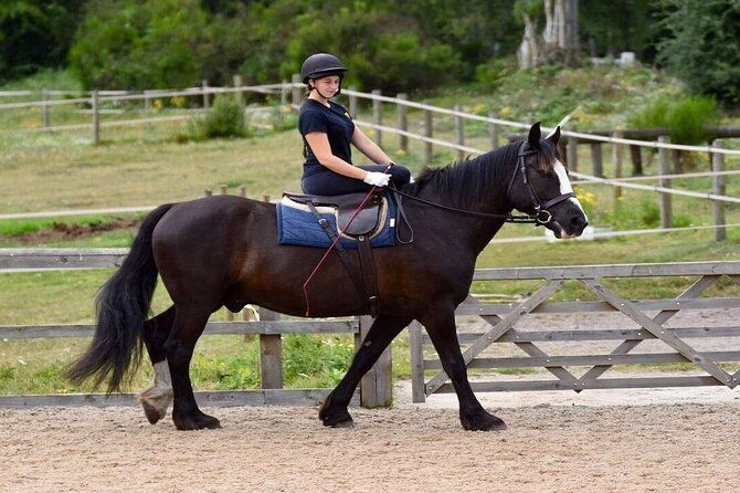 Kemer Horse Riding Experience with Transfer