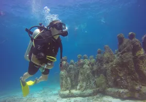 MUSA Diving For Beginners in Cancun