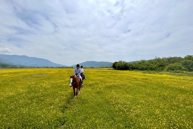 Horseback Riding Across River Ljuta with transport