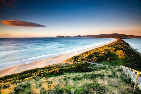 2 Day Tasmanian Highlights Tour-Hobart Highlights & Bruny Island