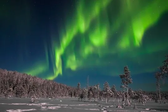 Northern Lights Hunting Photo Tour in Ylläs