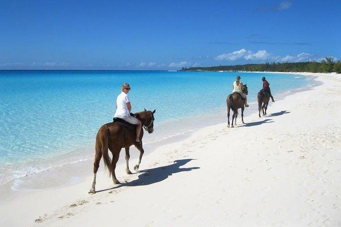 Private horseback riding Macao Beach in punta cana and Bayahibe