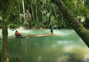 Montego Bay hi lite and culture tour