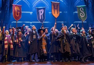 Harry Potter and the Cursed Child on Broadway Ticket