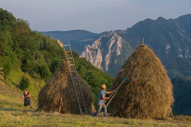 Local experience from Brasov - Transylvanian villages and Bran Castle