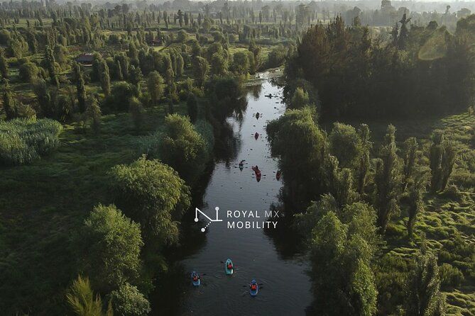 Xochimilco on a kayak at Sunrise