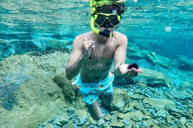 Santorini Caldera Day Traditional Cruise with Meal and Drinks