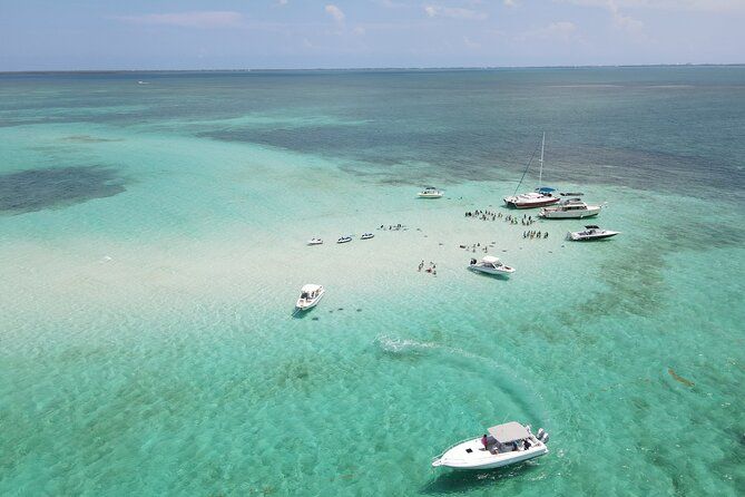 Private 4 hour Catamaran Tour