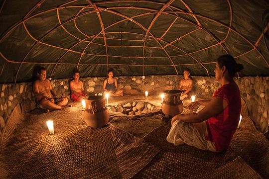Aztec Temazcal Experience & Jungle Coyuca Lagoon &Turtle Release