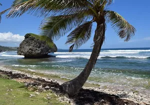 Barbados Island Highlights Half-Day Tour