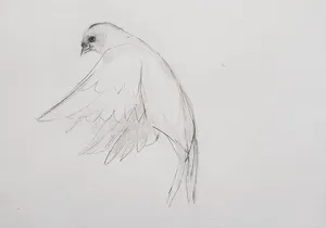 Introduction to Drawing