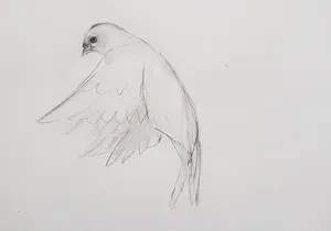 Introduction to Drawing