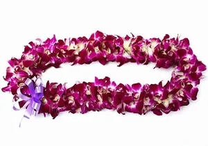 Deluxe Orchid Lei Greeting (Maui, Kahului Airport, OGG)