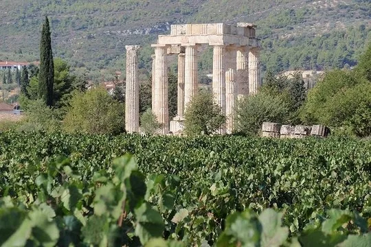 Nemea wine roads, The most famous wine tour in Greece