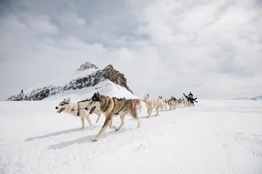 Glacier 3000 Ticket Including Cable Car and Peak Walk by Tissot