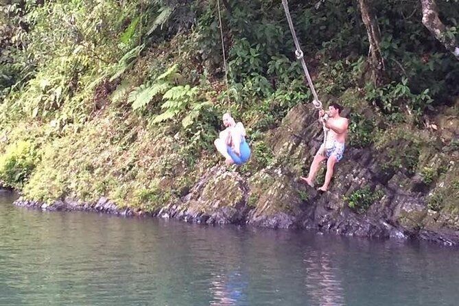 Half-Day Rainforest Tour with Transport from San Juan