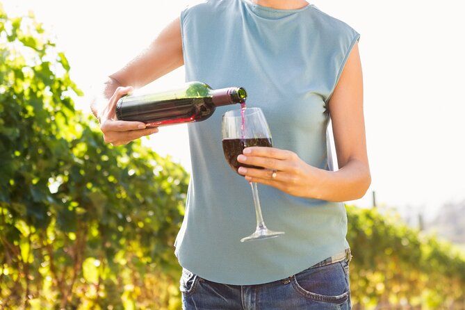 Troodos Mountains Vino Venture: All Inclusive Full Day Wine Tour
