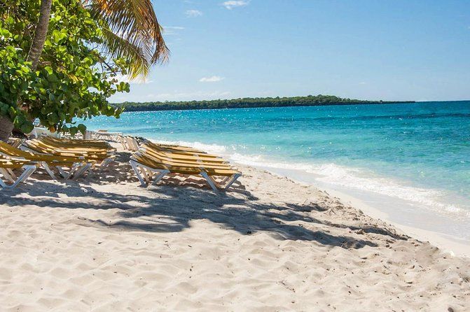 Full-Day Catalina Island Snorkeling Tour from La Romana