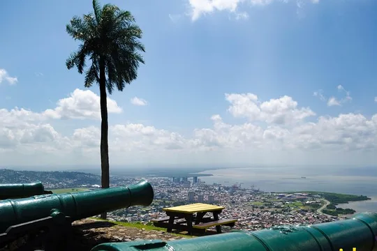 Port of Spain and Fort George Sightseeing Tour