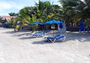 Negril 7 Miles Beach and Rick's Cafe Tour