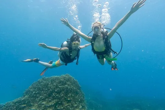 StandUp PaddleBoard Lesson and Experience Scuba Diving Package!