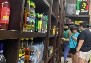 Ocho Rios City Day Experience