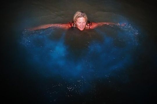 Falmouth mystic Tour with swim option & entry fee transportation