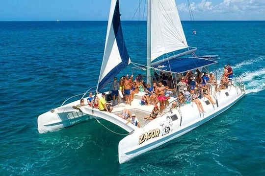 Saona Island Tour and Catamaran Party from Punta Cana
