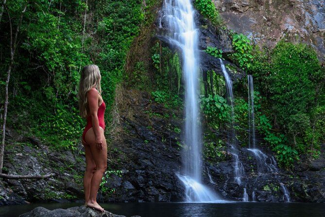 Daintree Waters Tour