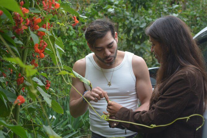 Urban Orchard in Desierto de los Leones in Mexico City