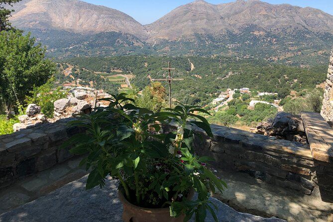 Private Tour Explore the Secrets of Wine, Olives & Honey