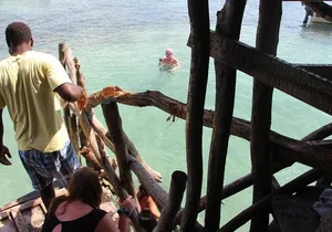 Floyds Pelican Bar Private Tour