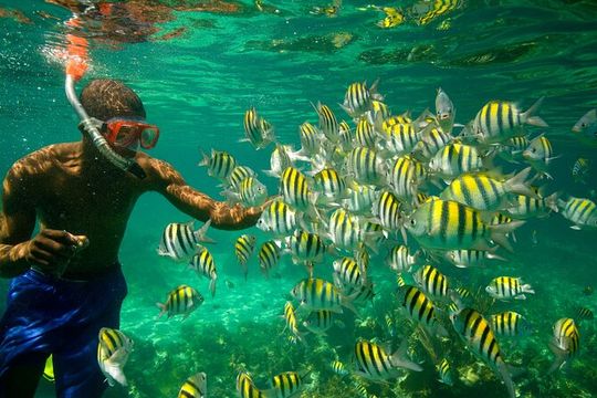 Negril Seven Miles Beach, Snorkeling, Boat Ride, Ricks Cafe Combo