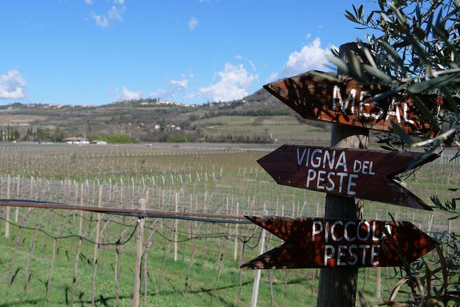 Verona - Cellar Tour and Tasting of NATURAL WINES