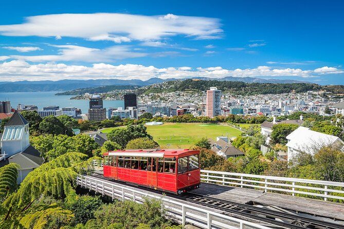 Full Day Private Tour Sightseeing Wellington Including Pickup