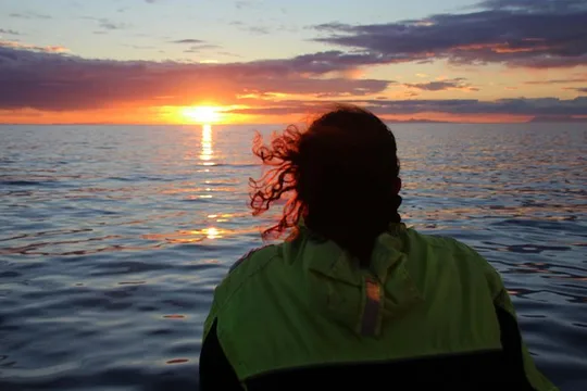 Midnight Sun Whale & Puffin watching from Reykjavik