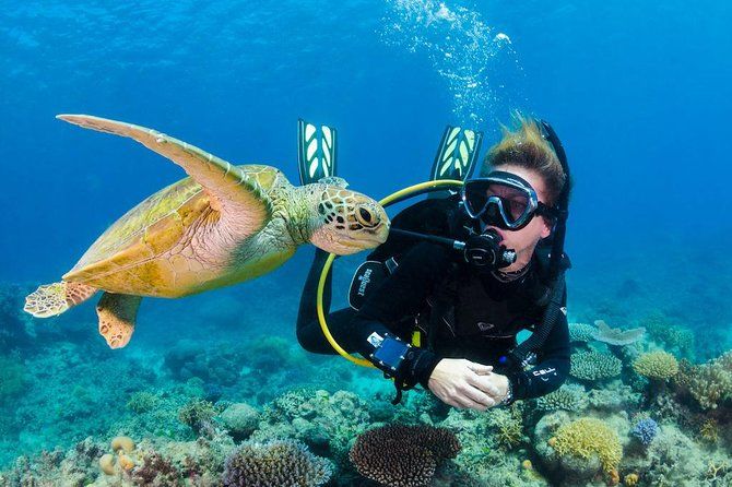 Scuba Diving on Catalina Island | 2 tanks, 2 spots