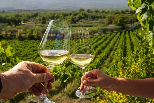 Wine Roads Private Day Tour: Corinth - Ancient Nemea & Wine Tasting