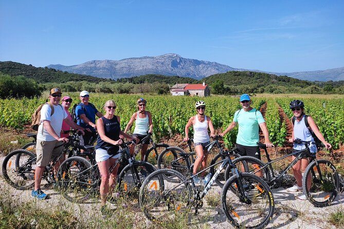 Korcula Bike & Wine Tour | Wine Tasting in Lumbarda