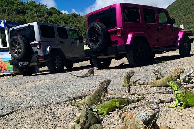 Guided Jeep Tour Exploring French and Dutch St Maarten