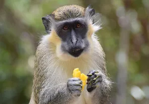 Private Full-Day Barbados Excursion