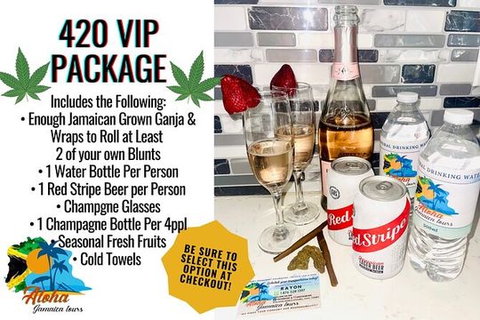 Private Transfer from Montego Bay to Negril