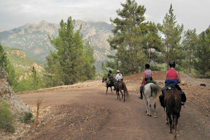 Horse Riding Tour in Bodrum with Hotel Pick Up