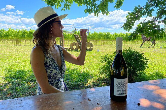 Family Winery Tour and Tasting in Grado