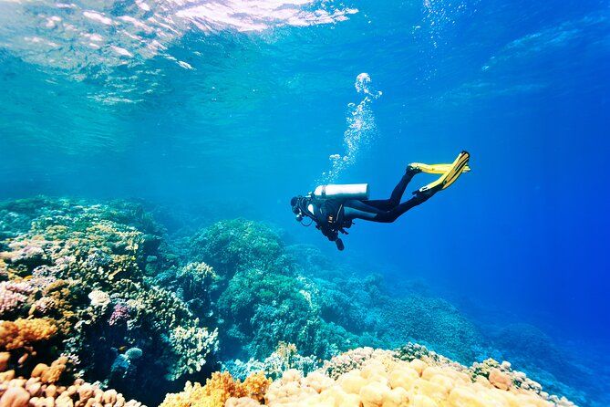 Fethiye Scuba Diving Experience