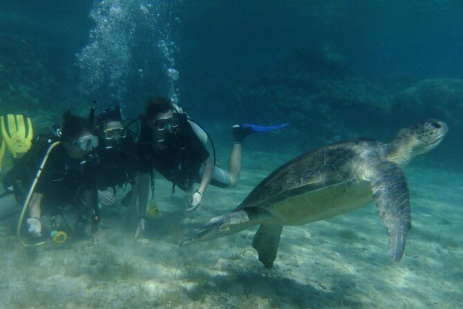 SCUBA DIVING first time experience